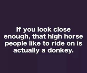 Funny Quotes : If you look close enough, that high horse people like to ...